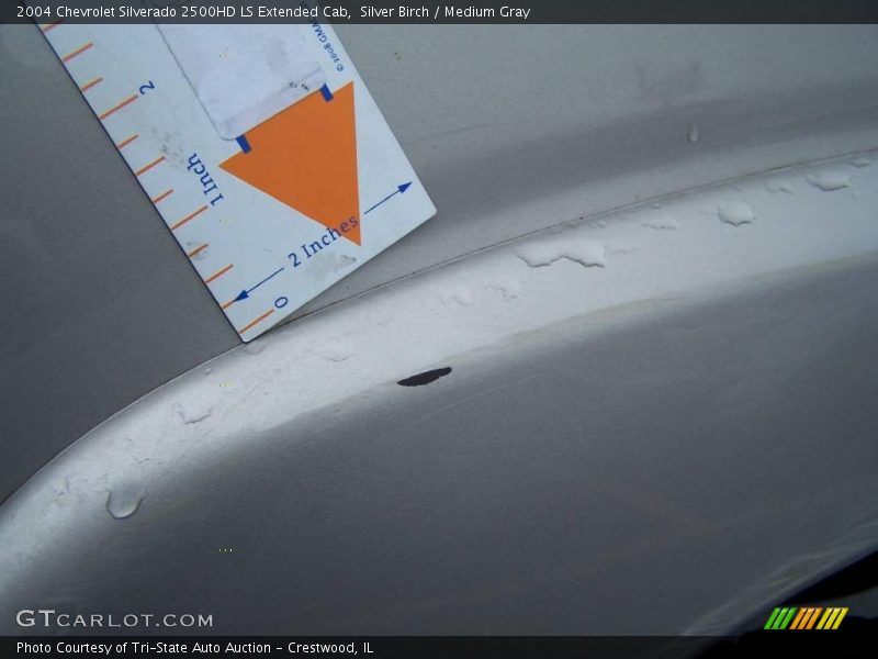 Silver Birch / Medium Gray 2004 Chevrolet Silverado 2500HD LS Extended Cab