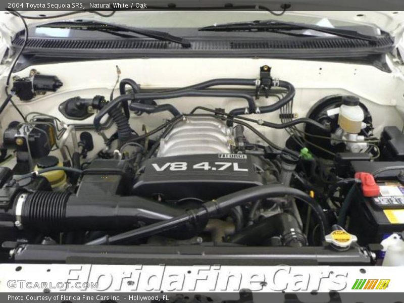 Natural White / Oak 2004 Toyota Sequoia SR5
