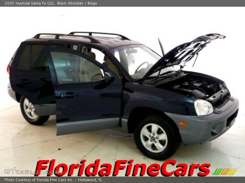 Black Obsidian / Beige 2005 Hyundai Santa Fe GLS