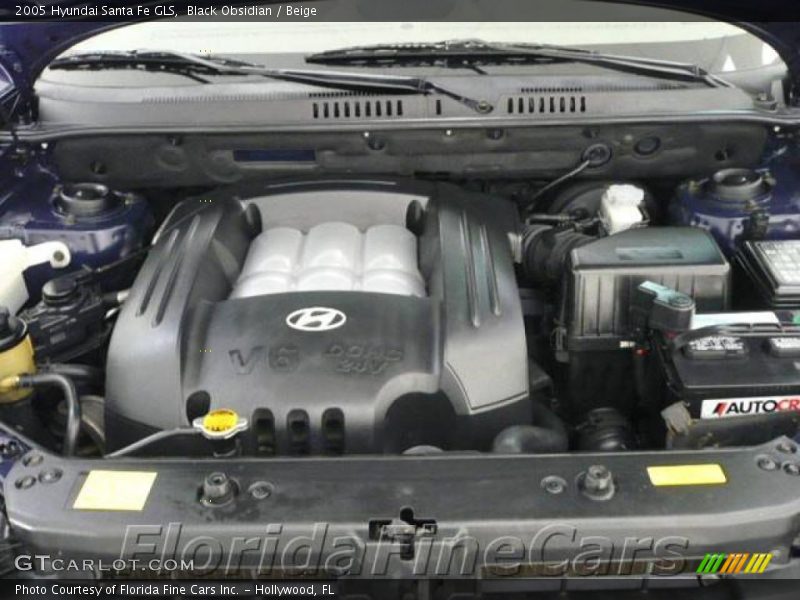 Black Obsidian / Beige 2005 Hyundai Santa Fe GLS