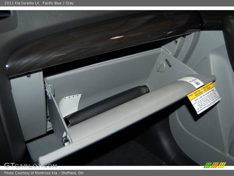 Pacific Blue / Gray 2011 Kia Sorento LX