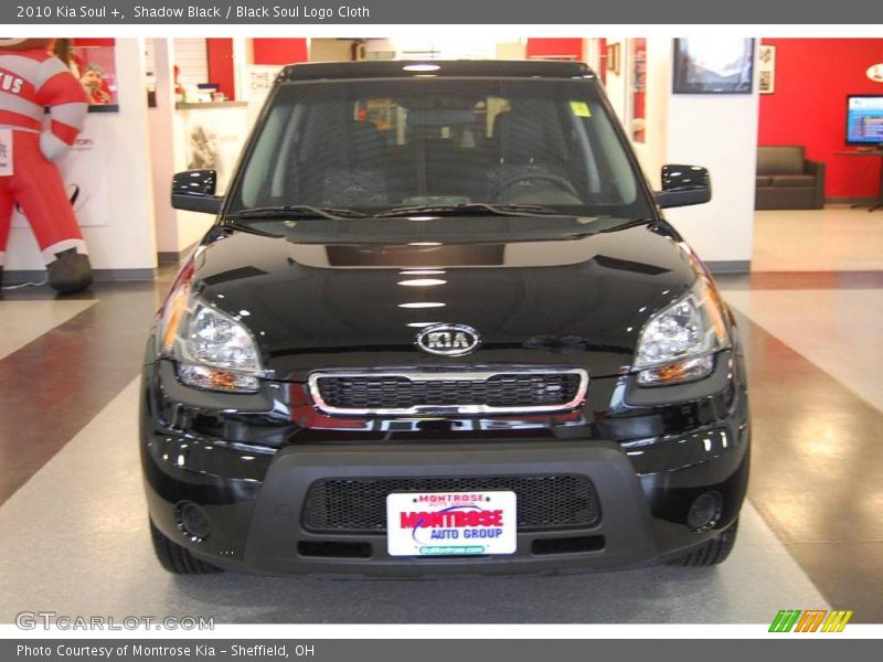Shadow Black / Black Soul Logo Cloth 2010 Kia Soul +