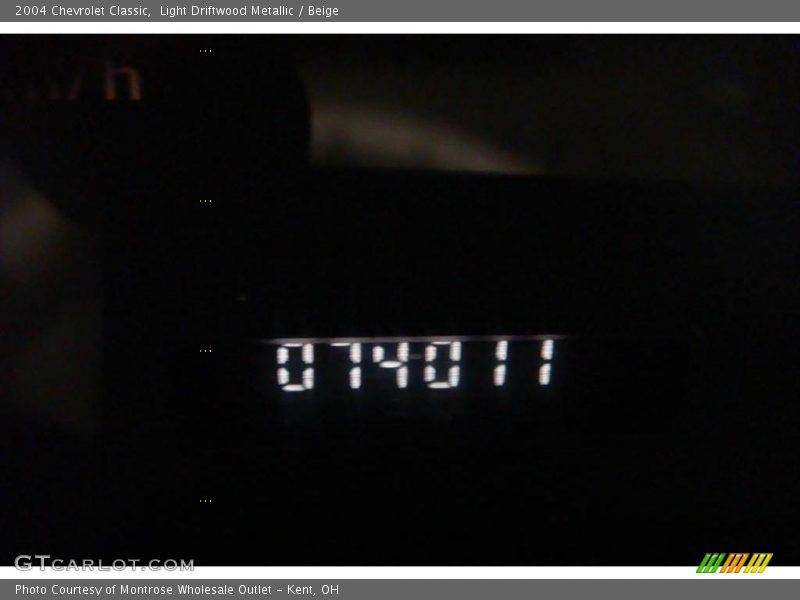Light Driftwood Metallic / Beige 2004 Chevrolet Classic