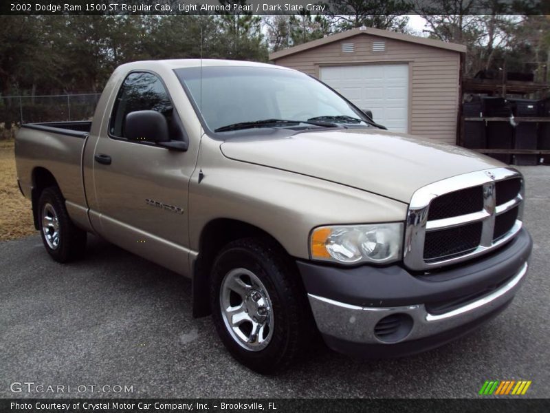 Light Almond Pearl / Dark Slate Gray 2002 Dodge Ram 1500 ST Regular Cab