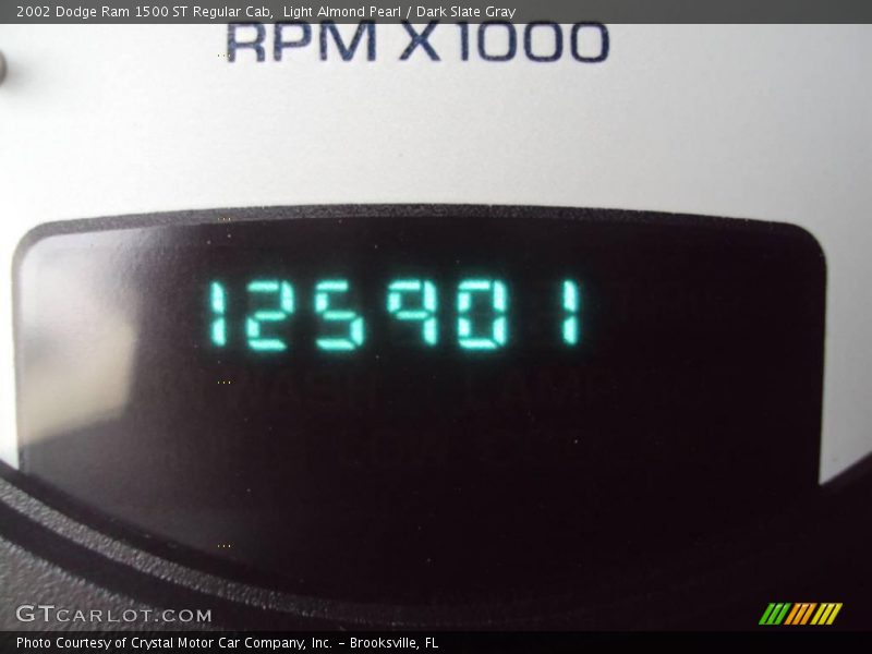 Light Almond Pearl / Dark Slate Gray 2002 Dodge Ram 1500 ST Regular Cab