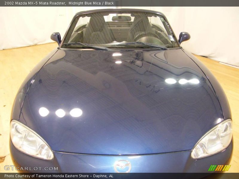 Midnight Blue Mica / Black 2002 Mazda MX-5 Miata Roadster