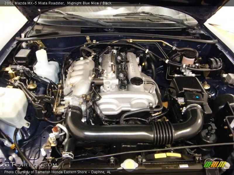 Midnight Blue Mica / Black 2002 Mazda MX-5 Miata Roadster