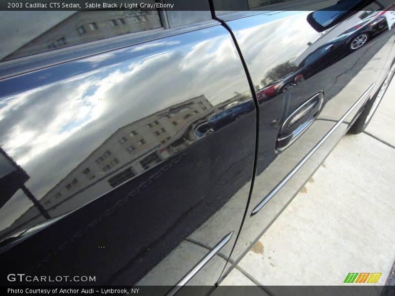Sable Black / Light Gray/Ebony 2003 Cadillac CTS Sedan