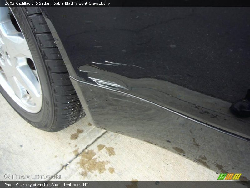 Sable Black / Light Gray/Ebony 2003 Cadillac CTS Sedan
