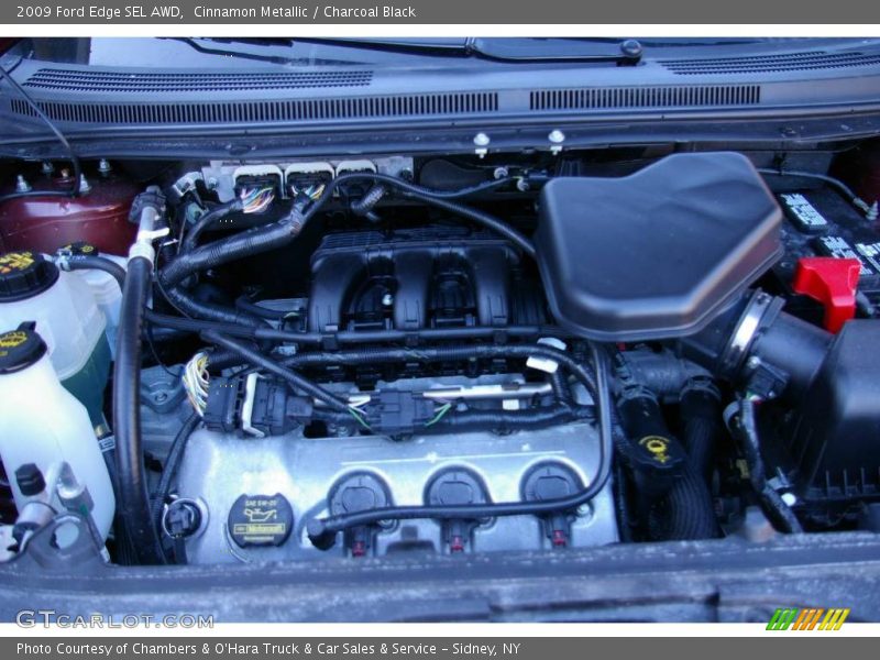Cinnamon Metallic / Charcoal Black 2009 Ford Edge SEL AWD