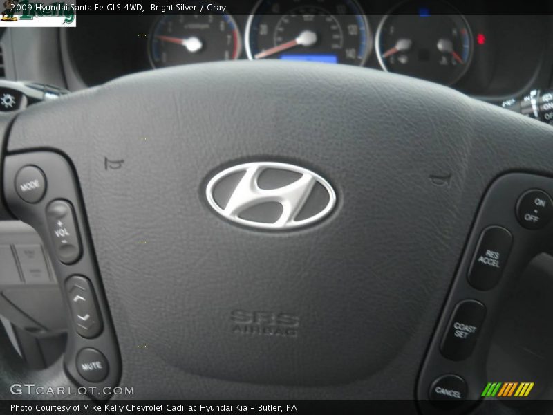 Bright Silver / Gray 2009 Hyundai Santa Fe GLS 4WD