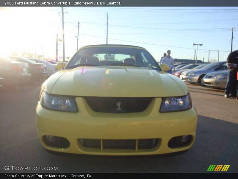 Zinc Yellow / Dark Charcoal 2003 Ford Mustang Cobra Convertible