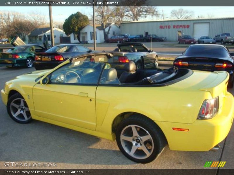 Zinc Yellow / Dark Charcoal 2003 Ford Mustang Cobra Convertible