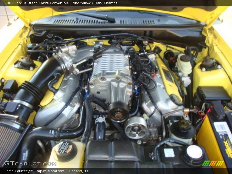 Zinc Yellow / Dark Charcoal 2003 Ford Mustang Cobra Convertible