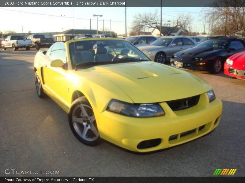 Zinc Yellow / Dark Charcoal 2003 Ford Mustang Cobra Convertible