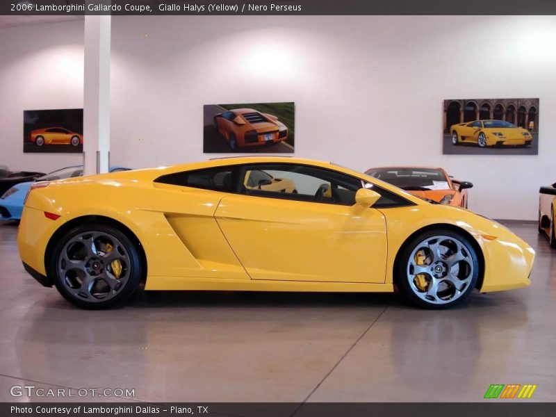 Giallo Halys (Yellow) / Nero Perseus 2006 Lamborghini Gallardo Coupe