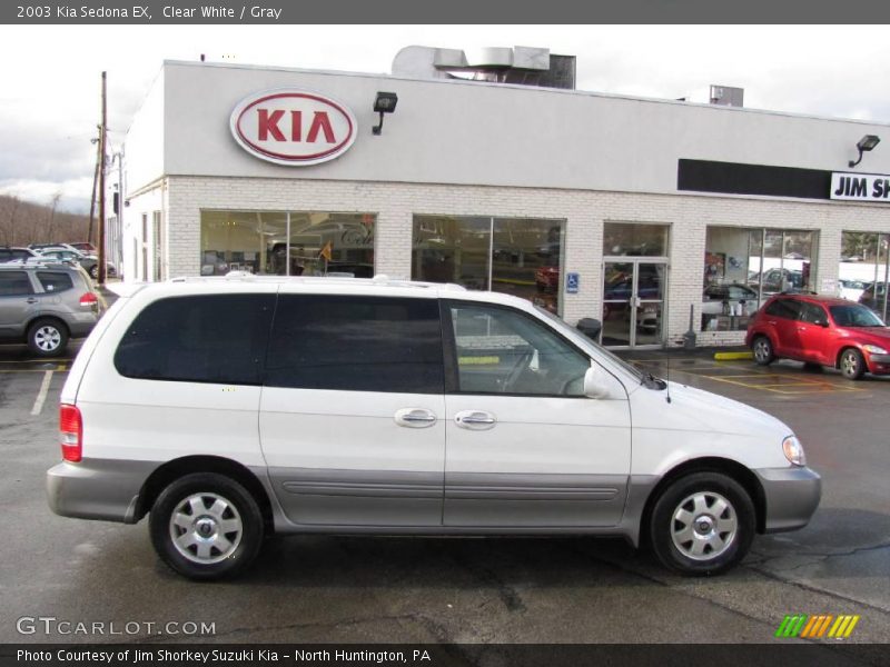 Clear White / Gray 2003 Kia Sedona EX