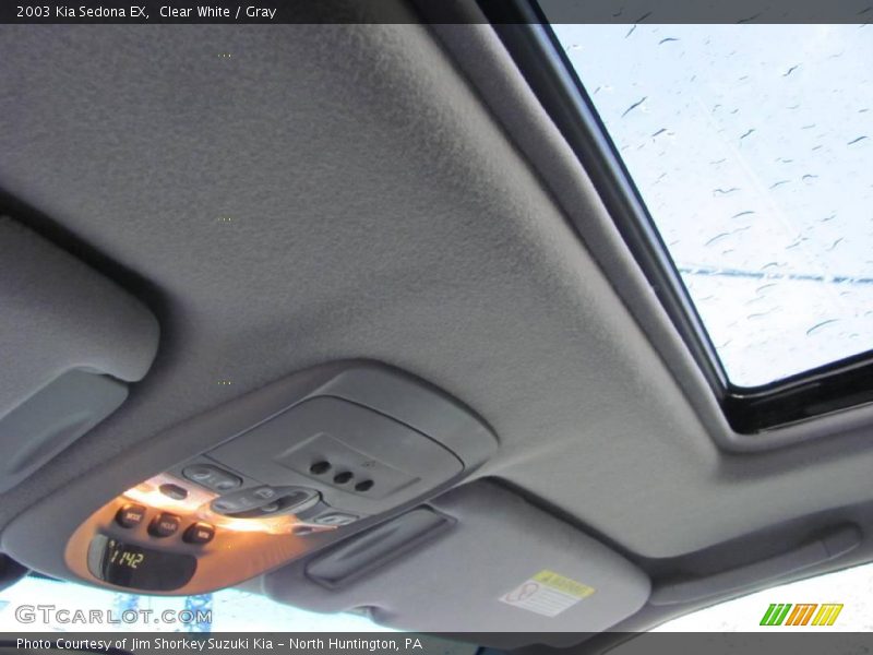 Clear White / Gray 2003 Kia Sedona EX