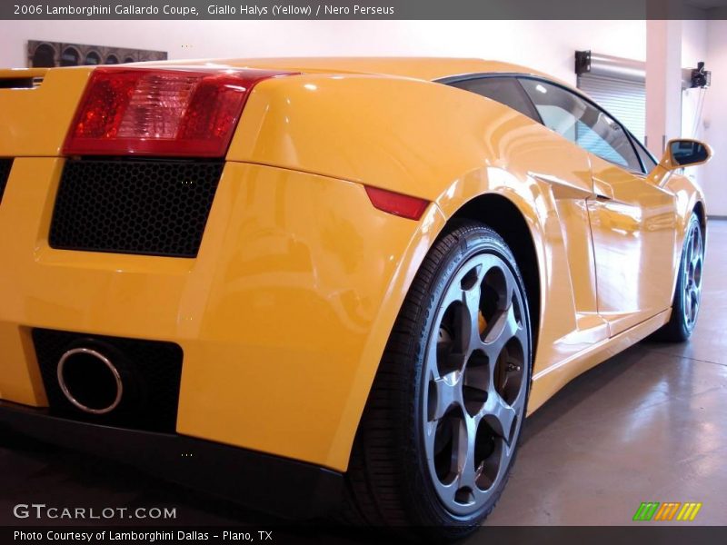 Giallo Halys (Yellow) / Nero Perseus 2006 Lamborghini Gallardo Coupe