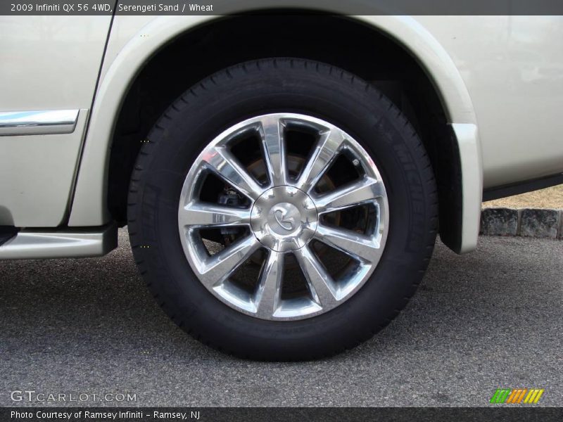 Serengeti Sand / Wheat 2009 Infiniti QX 56 4WD