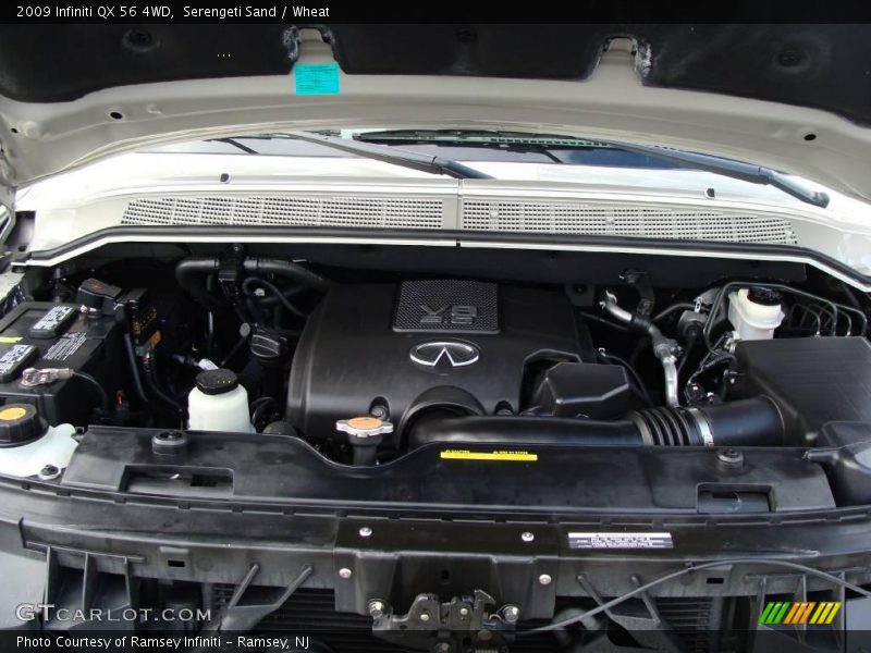 Serengeti Sand / Wheat 2009 Infiniti QX 56 4WD
