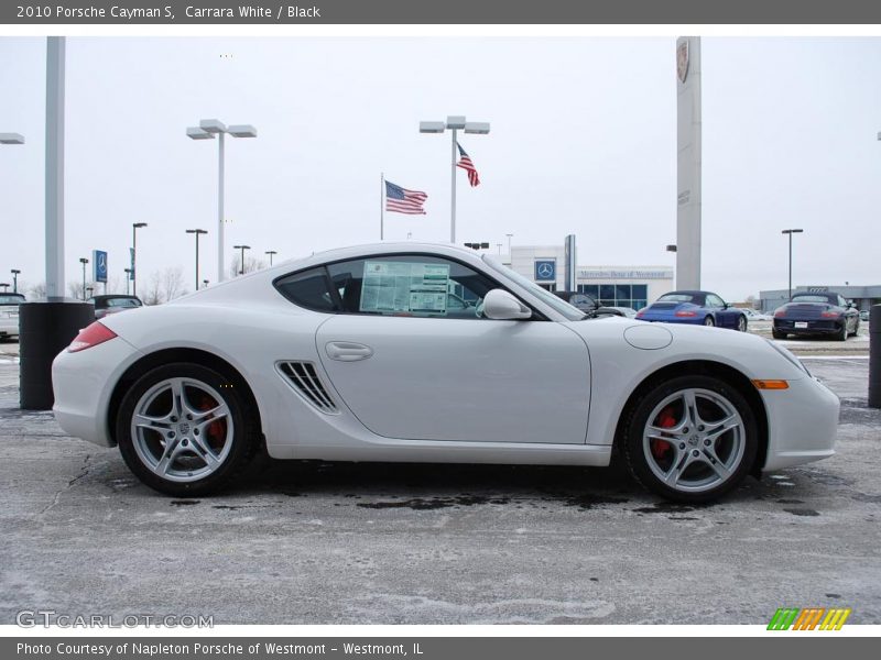 Carrara White / Black 2010 Porsche Cayman S