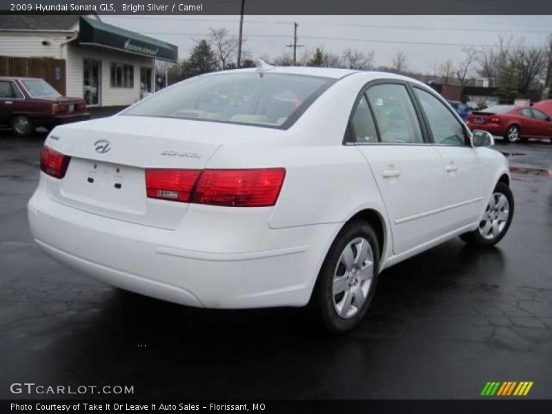 Bright Silver / Camel 2009 Hyundai Sonata GLS