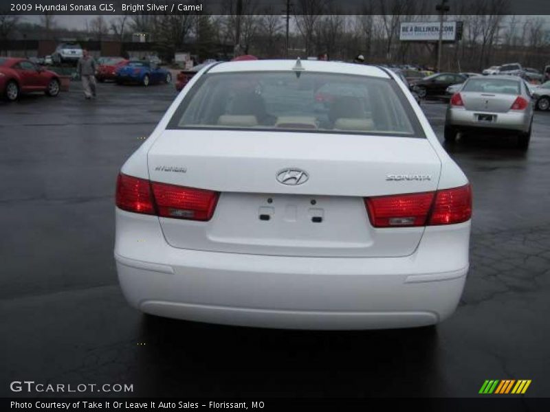 Bright Silver / Camel 2009 Hyundai Sonata GLS