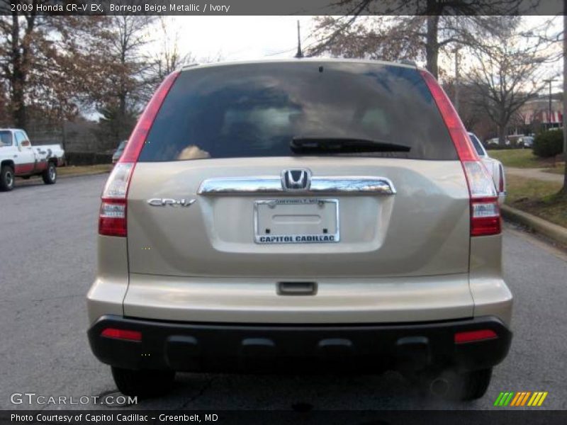 Borrego Beige Metallic / Ivory 2009 Honda CR-V EX