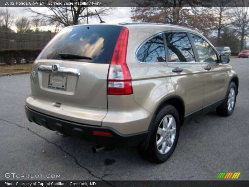 Borrego Beige Metallic / Ivory 2009 Honda CR-V EX