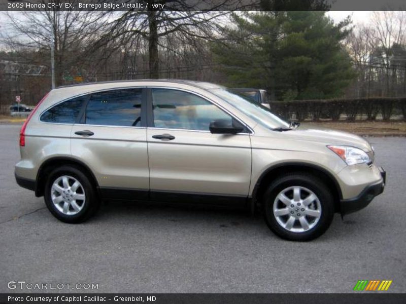 Borrego Beige Metallic / Ivory 2009 Honda CR-V EX