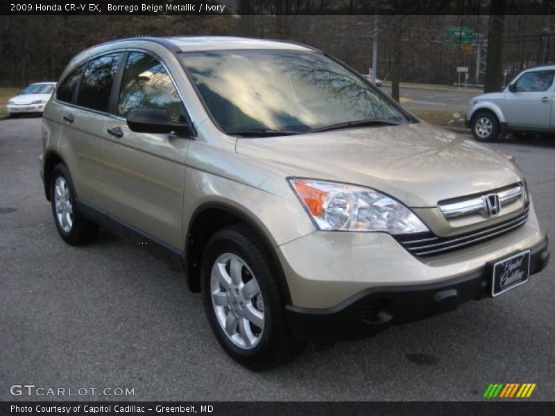 Borrego Beige Metallic / Ivory 2009 Honda CR-V EX