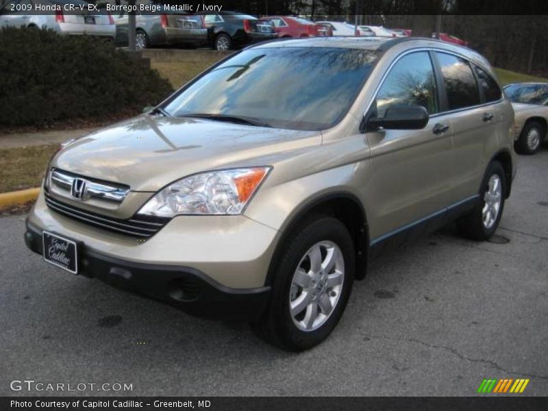 Borrego Beige Metallic / Ivory 2009 Honda CR-V EX