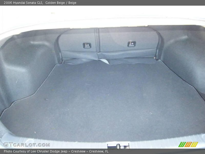 Golden Beige / Beige 2006 Hyundai Sonata GLS