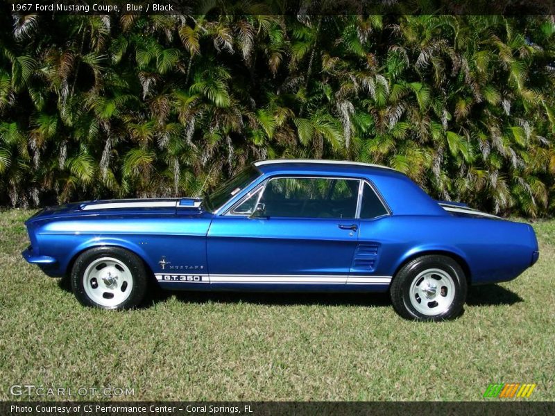 Blue / Black 1967 Ford Mustang Coupe