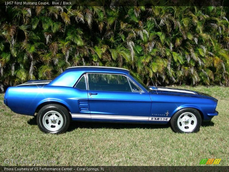 Blue / Black 1967 Ford Mustang Coupe