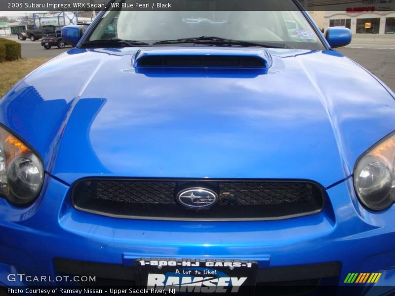 WR Blue Pearl / Black 2005 Subaru Impreza WRX Sedan