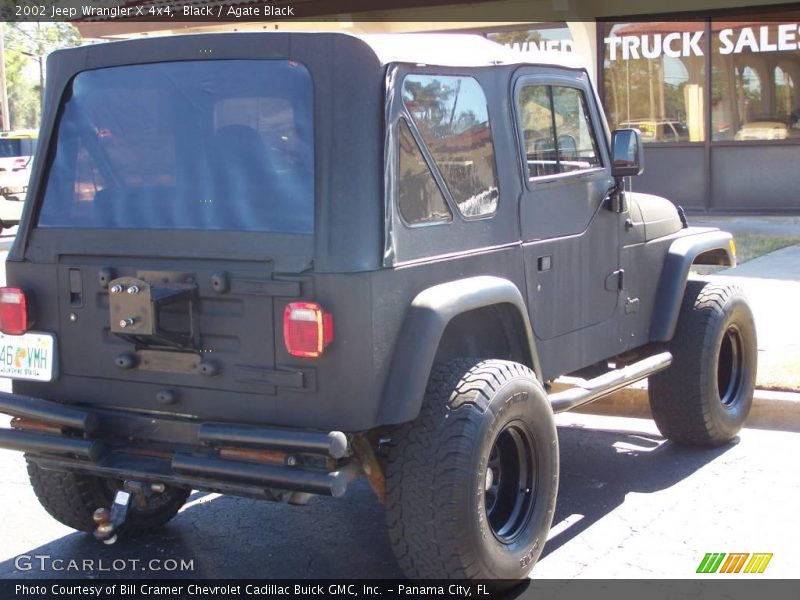 Black / Agate Black 2002 Jeep Wrangler X 4x4