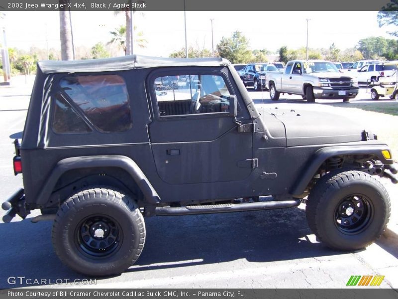 Black / Agate Black 2002 Jeep Wrangler X 4x4