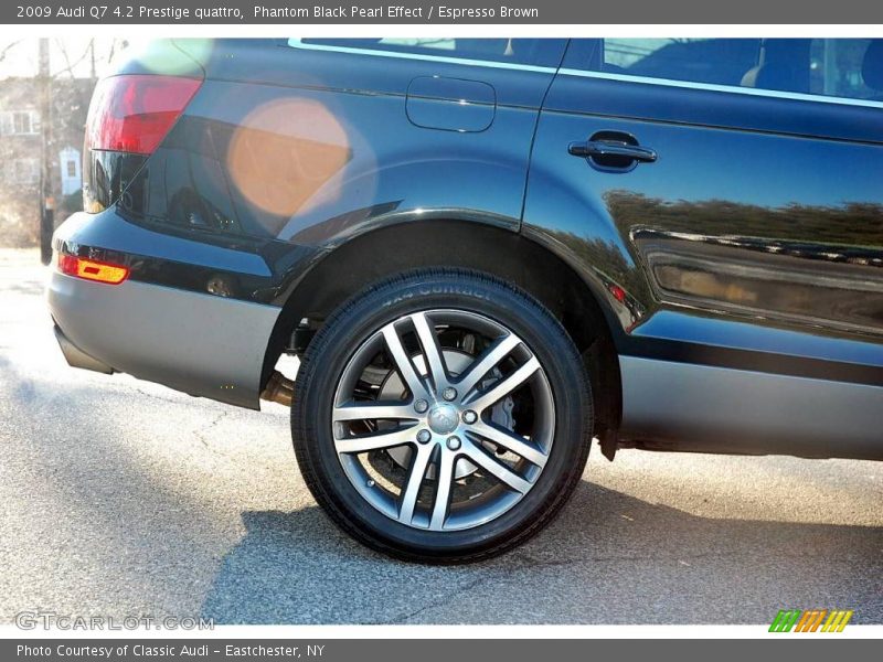 Phantom Black Pearl Effect / Espresso Brown 2009 Audi Q7 4.2 Prestige quattro