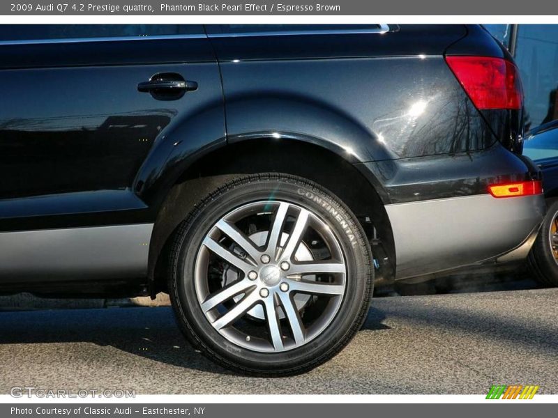 Phantom Black Pearl Effect / Espresso Brown 2009 Audi Q7 4.2 Prestige quattro