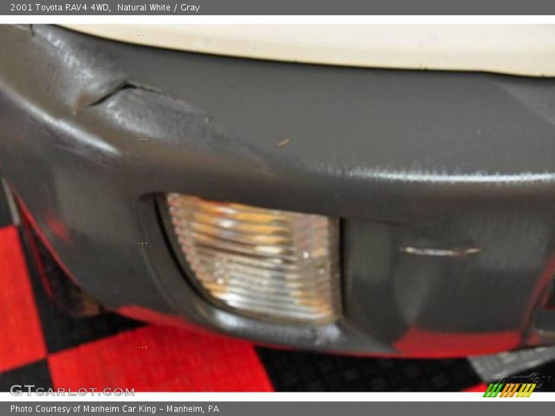 Natural White / Gray 2001 Toyota RAV4 4WD