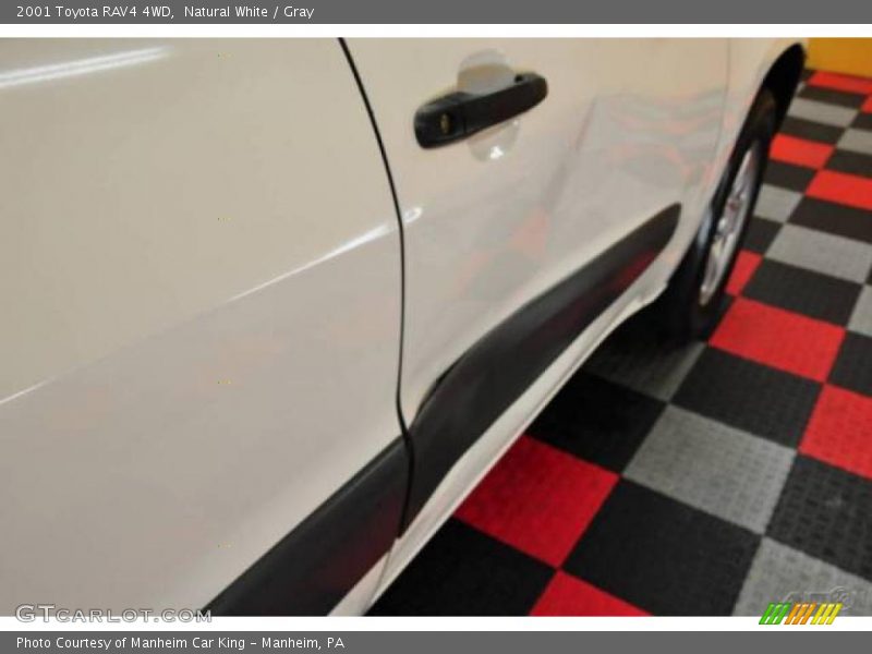 Natural White / Gray 2001 Toyota RAV4 4WD