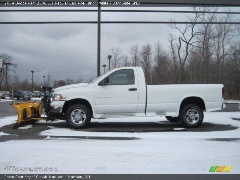 Bright White / Dark Slate Gray 2004 Dodge Ram 2500 SLT Regular Cab 4x4