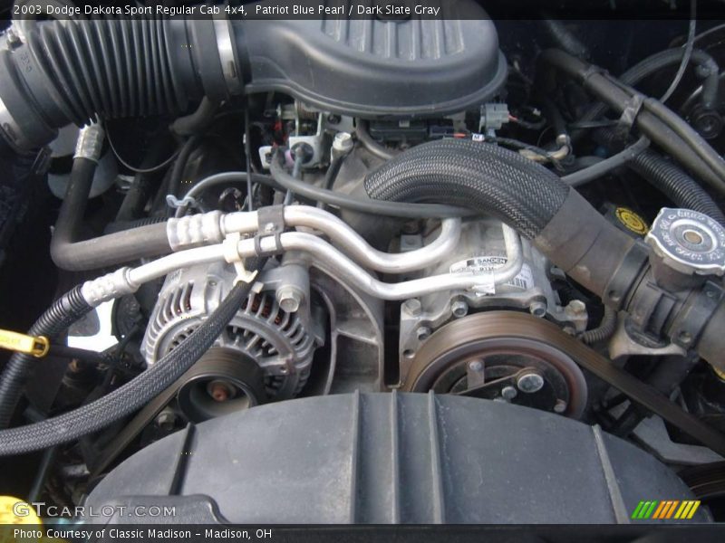 Patriot Blue Pearl / Dark Slate Gray 2003 Dodge Dakota Sport Regular Cab 4x4