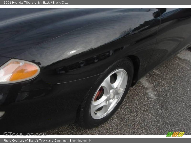 Jet Black / Black/Gray 2001 Hyundai Tiburon