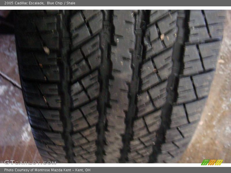 Blue Chip / Shale 2005 Cadillac Escalade