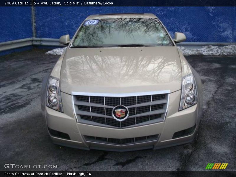 Gold Mist / Cashmere/Cocoa 2009 Cadillac CTS 4 AWD Sedan