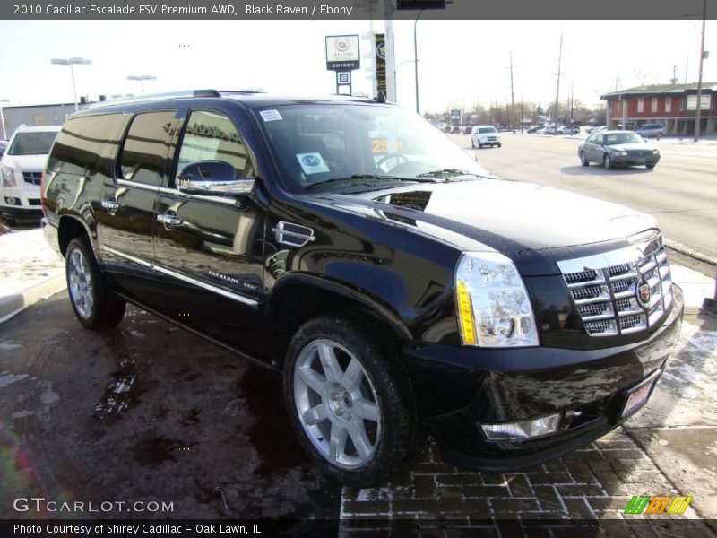 Black Raven / Ebony 2010 Cadillac Escalade ESV Premium AWD