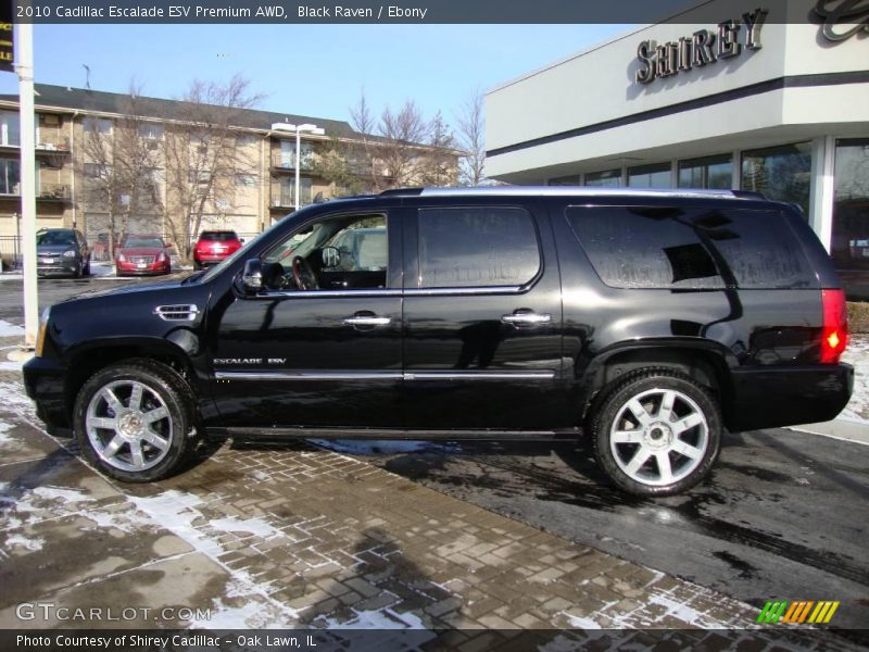 Black Raven / Ebony 2010 Cadillac Escalade ESV Premium AWD